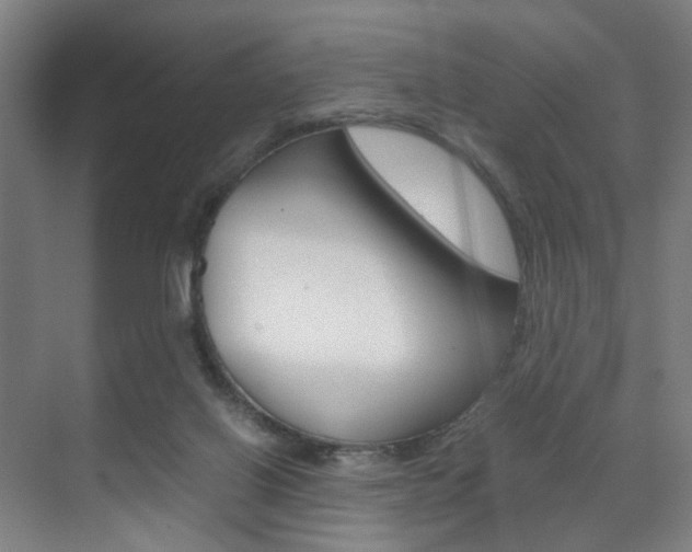 X0000071840070200606301114