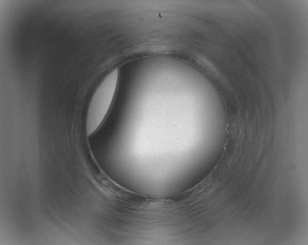 X0000071840072200606301114