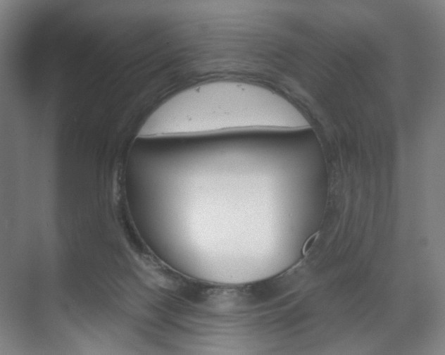 X0000071840074200606301115