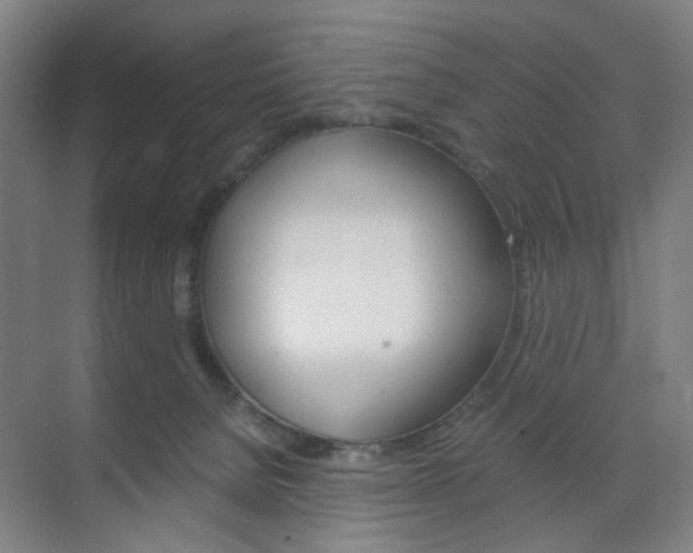 X0000071840080200606301115