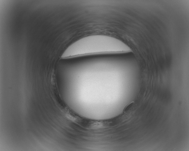 X0000071840083200606301115