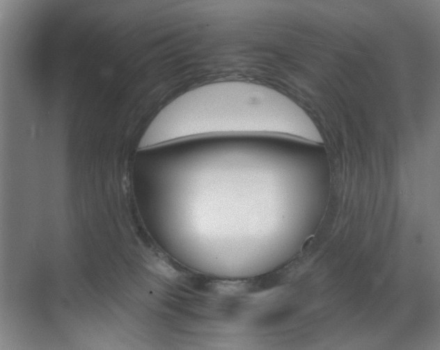 X0000071840085200606301115