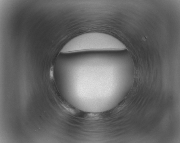 X0000071840095200606301115
