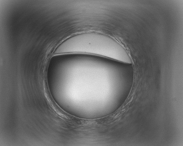 X0000071840097200606301114