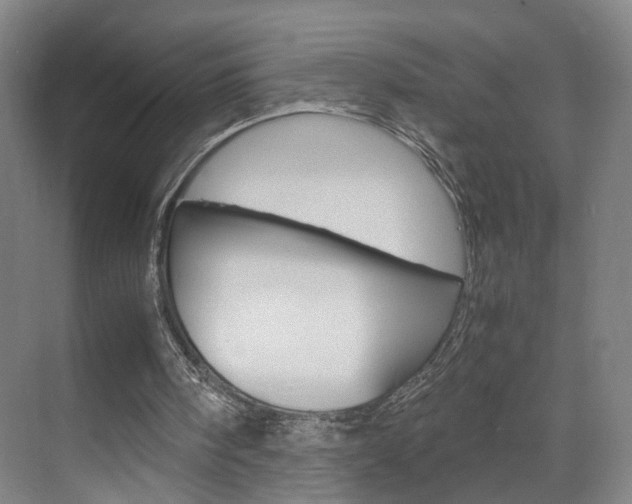 X0000071840098200606301114