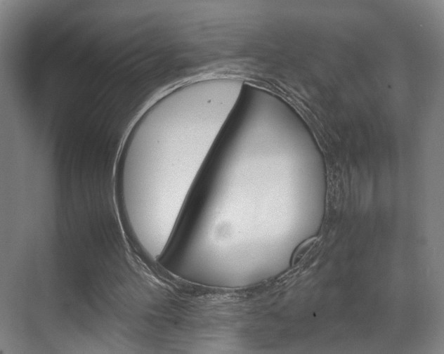 X0000071840100200606301114