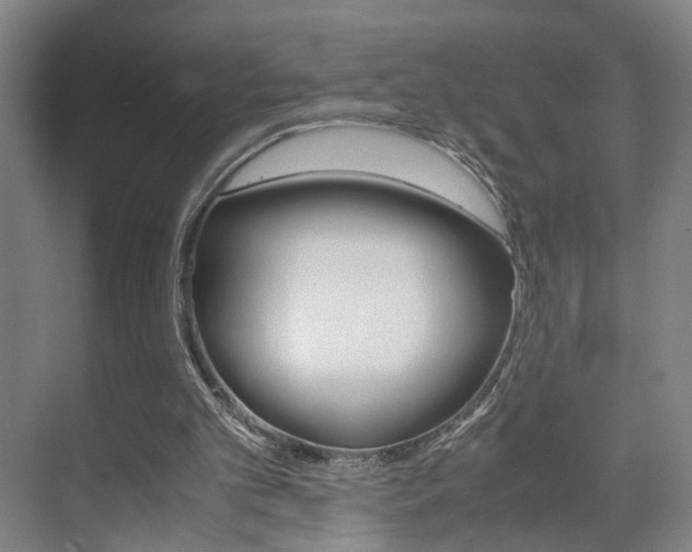 X0000071840101200606301114