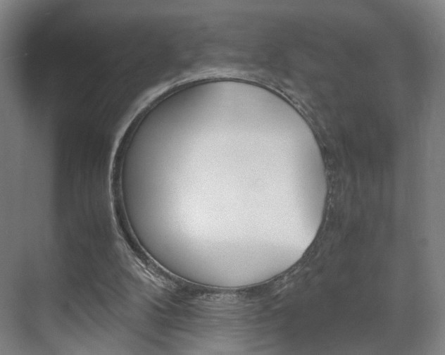X0000071840104200606301114