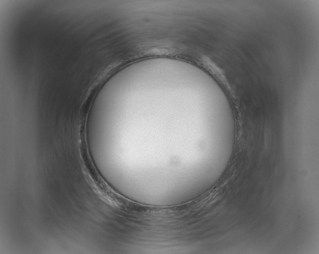 X0000071840106200606301114