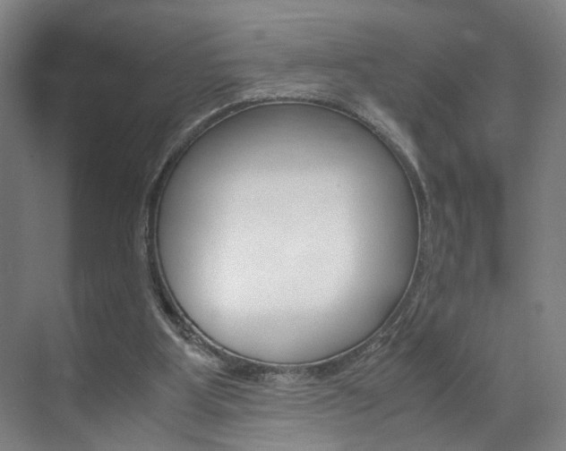 X0000071840107200606301114