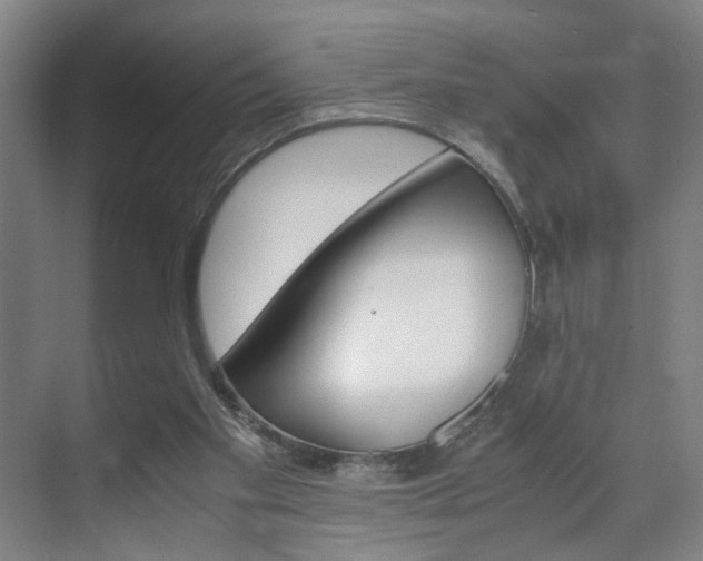 X0000071840109200606301114