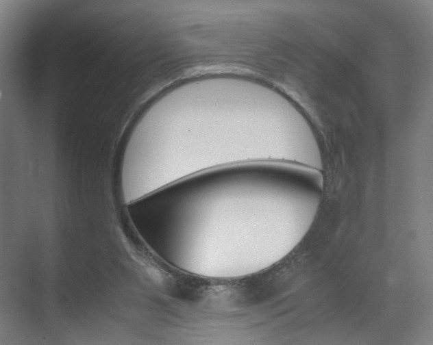 X0000071840111200606301114