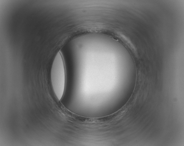X0000071840113200606301114