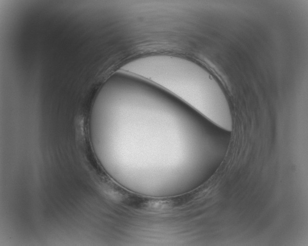 X0000071840117200606301114
