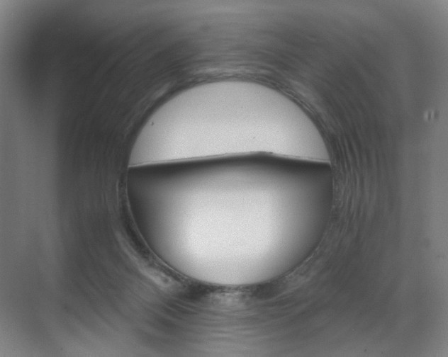 X0000071840120200606301114