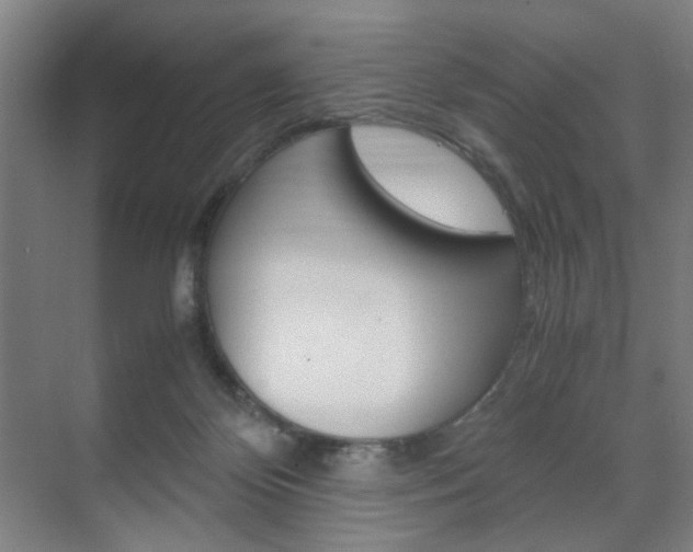 X0000071840124200606301114