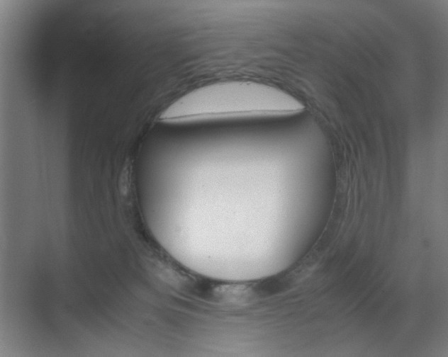 X0000071840133200606301113
