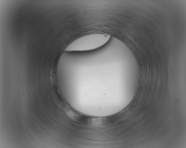 X0000071840134200606301113