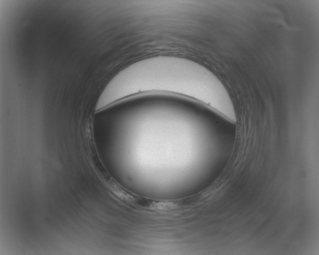 X0000071840137200606301113