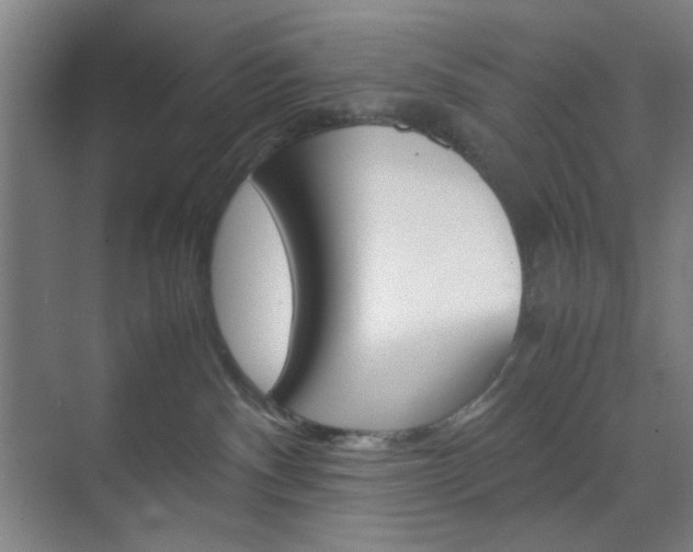 X0000071840140200606301113