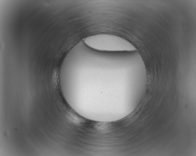 X0000071840142200606301113