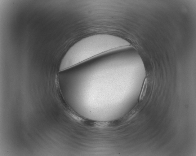 X0000071840143200606301113
