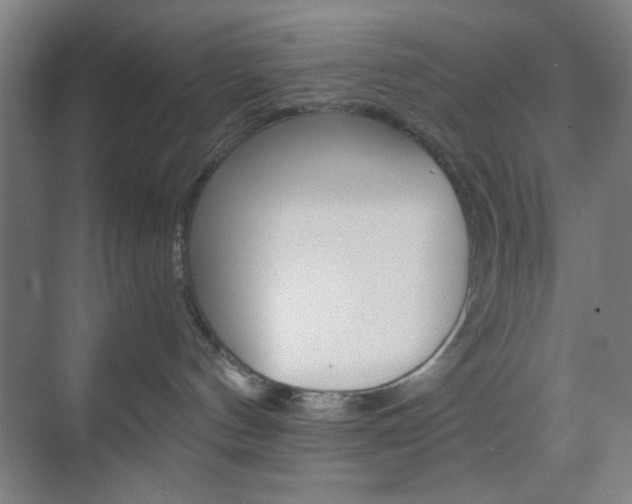 X0000071840144200606301113