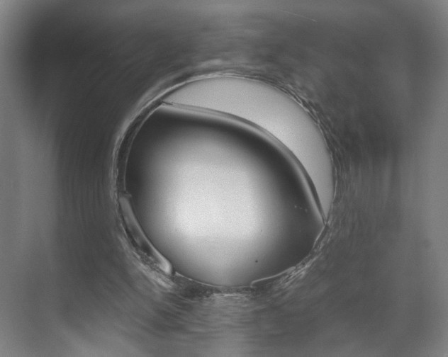 X0000071840150200606301113
