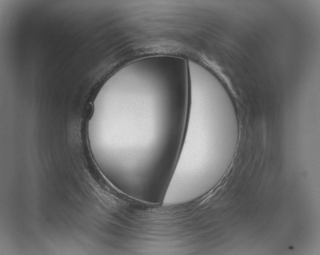 X0000071840154200606301113