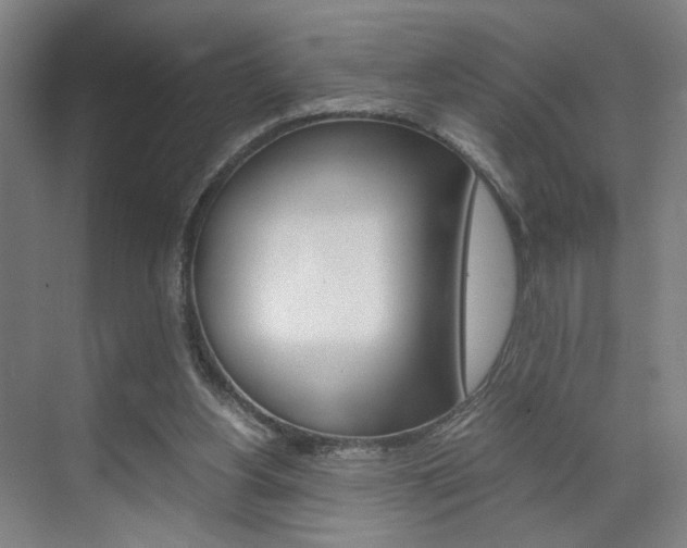 X0000071840156200606301113
