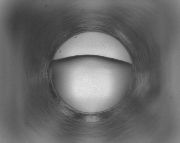 X0000071840169200606301113