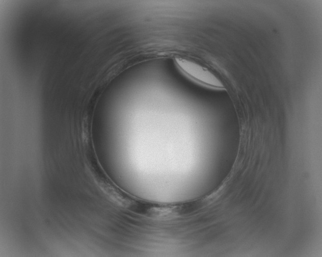 X0000071840170200606301113