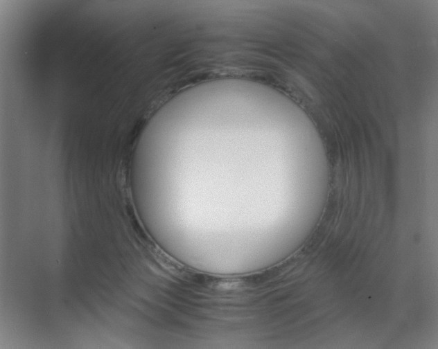 X0000071840173200606301113
