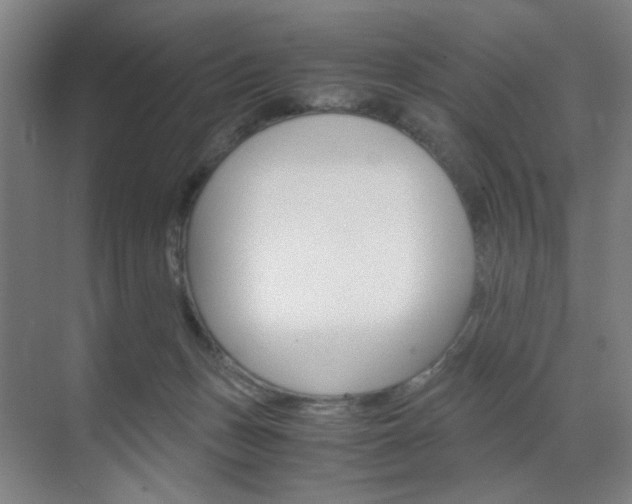 X0000071840175200606301113
