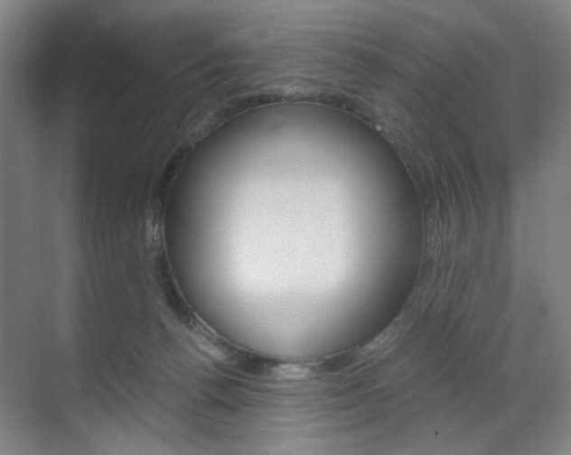 X0000071840176200606301113