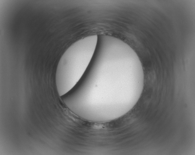 X0000071840177200606301113