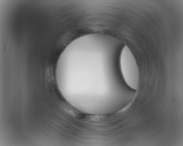 X0000071840182200606301113