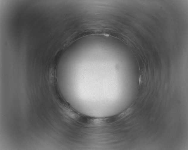 X0000071840184200606301113
