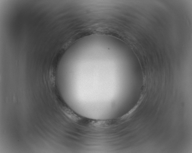 X0000071840186200606301113