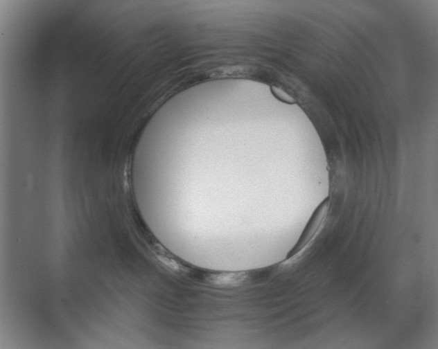 X0000071840191200606301113