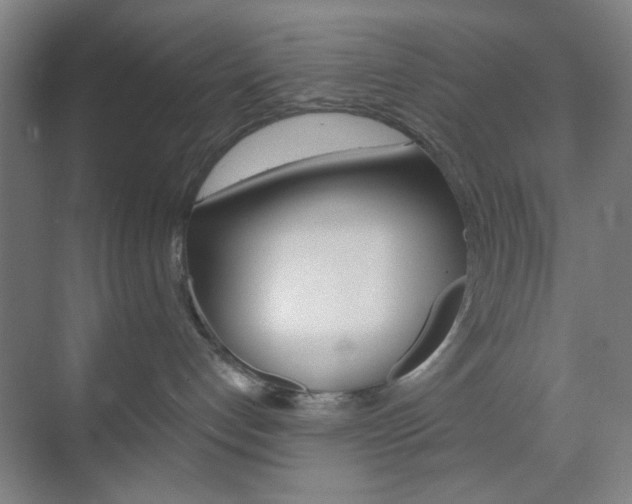 X0000071840192200606301113