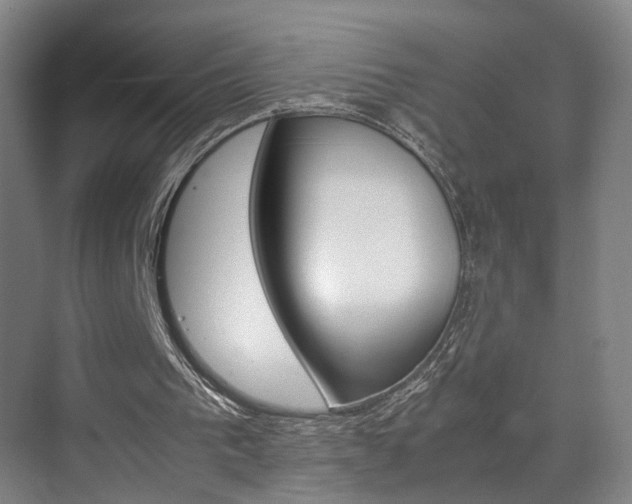X0000071840193200606301112