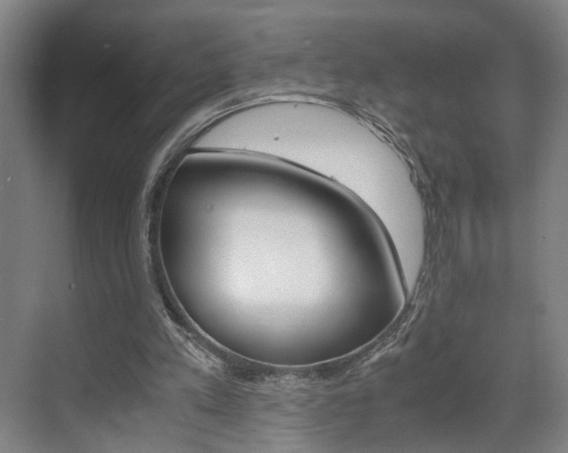 X0000071840197200606301112