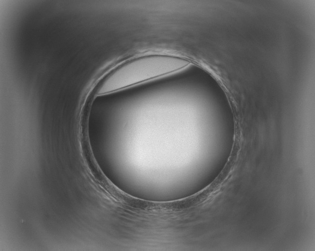 X0000071840199200606301112