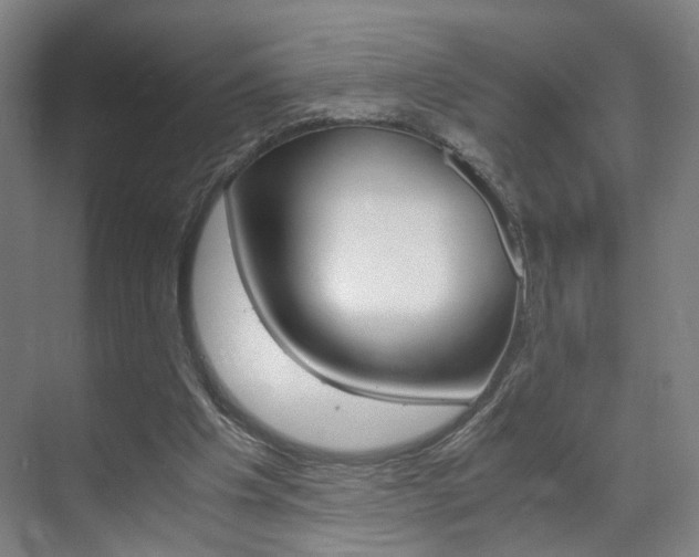 X0000071840201200606301112