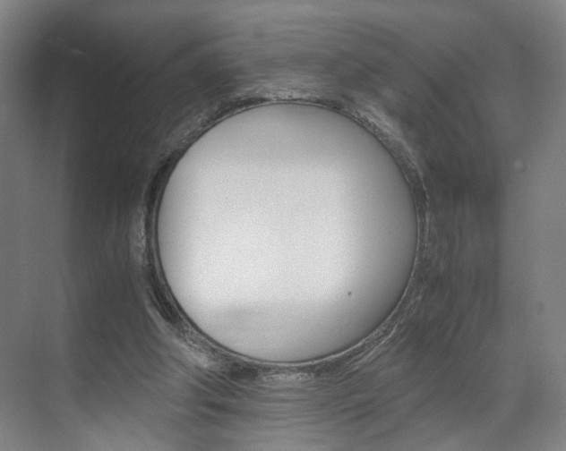 X0000071840202200606301112