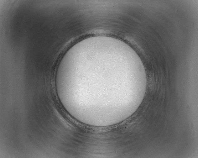 X0000071840208200606301112