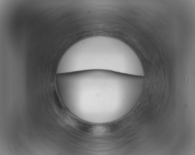 X0000071840218200606301112