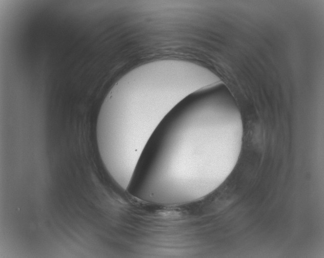 X0000071840220200606301112