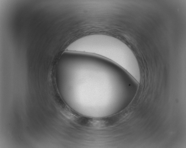 X0000071840221200606301112